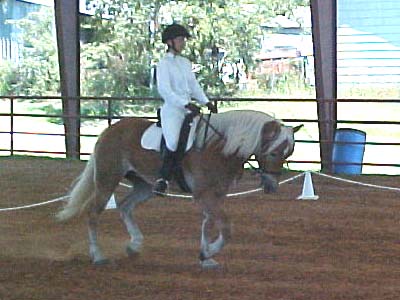 Adamir