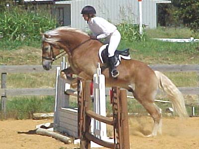 Adamir jumping