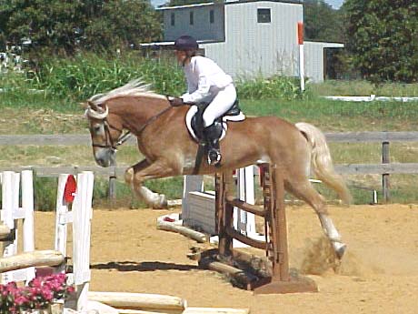 Adamir jumping