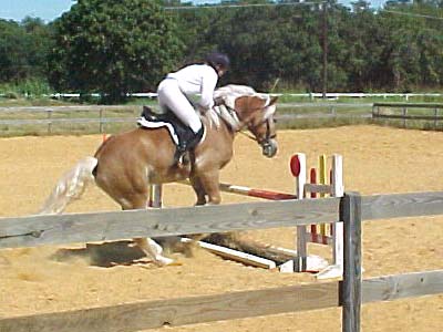 Adamir jumping