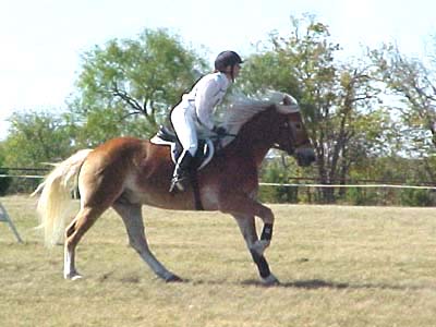 Adamir
