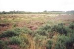 a clickable picture of Culloden Moor